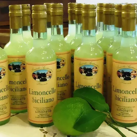 Bauernhof Limoneto *